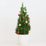 Kerstboom DIY