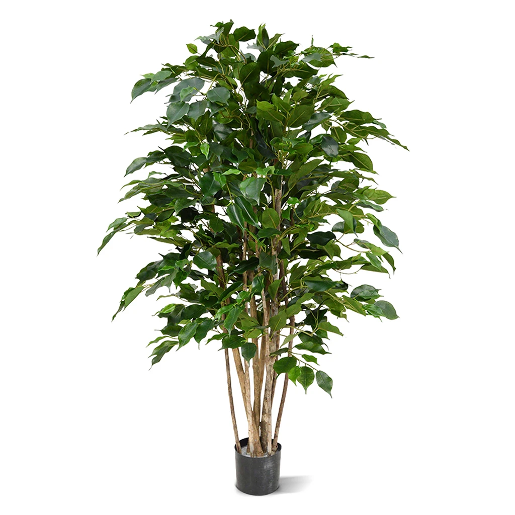 Ficus Exotica Deluxe Cm Kunstplant Kopen Plantje Nl