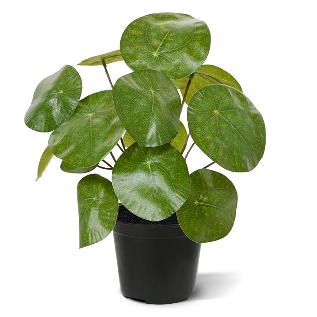 Plantje Pannenkoek Pilea 25 cm - Kunstplant