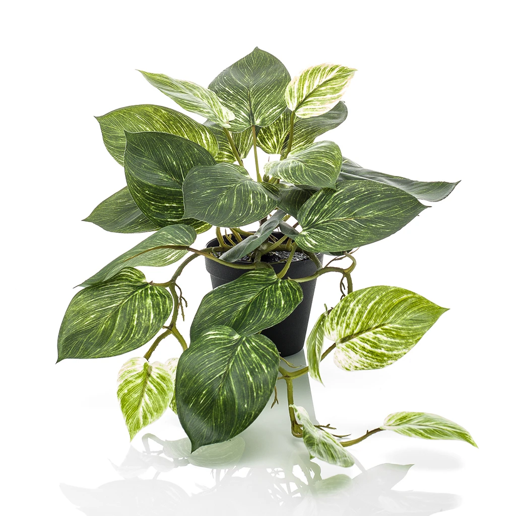 Scindapsus Bush Groen/Wit 55 cm - Kunstplant