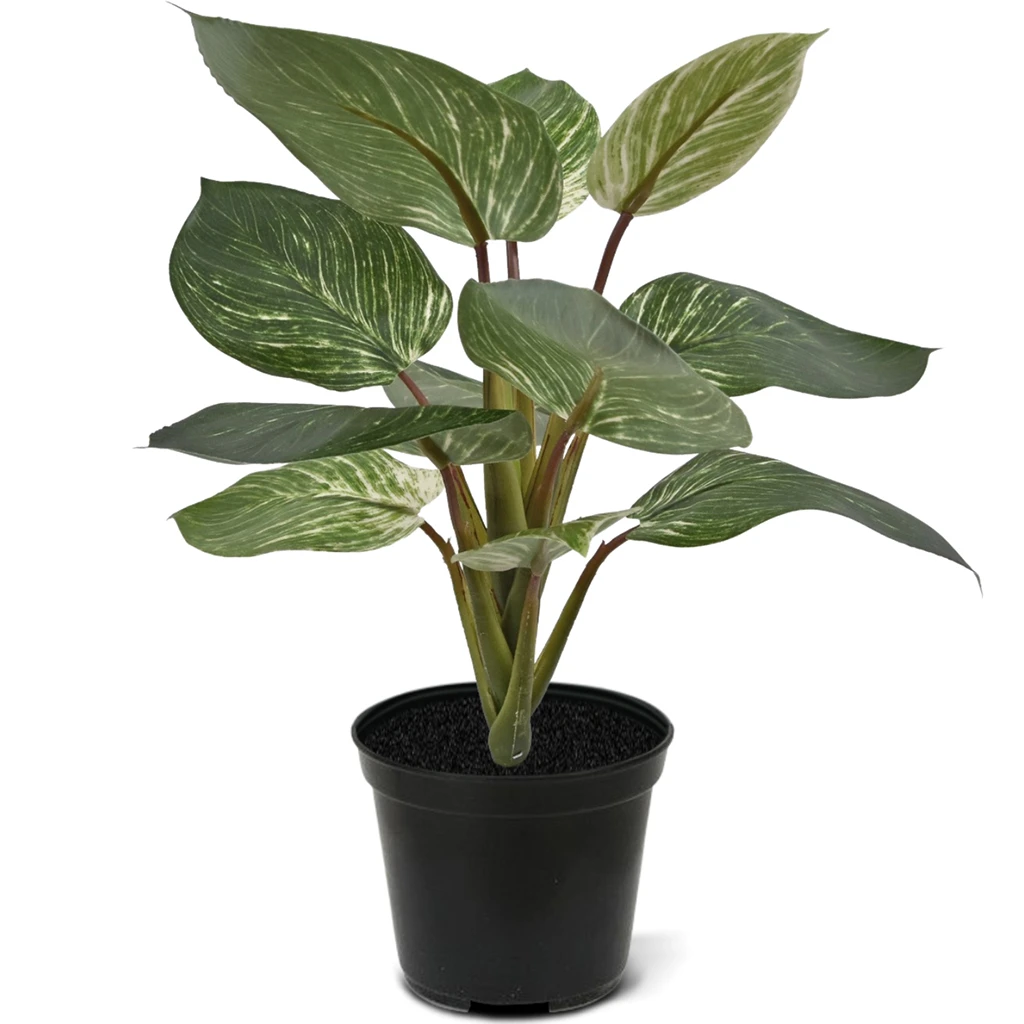 Philodendron Birkin 30 cm Kunstplant