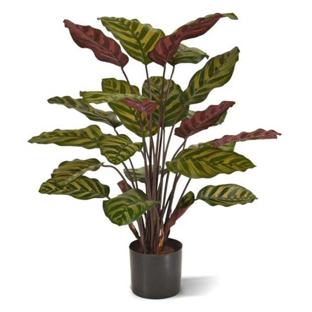 Calathea Makoyana Red 60 cm Kunstplant