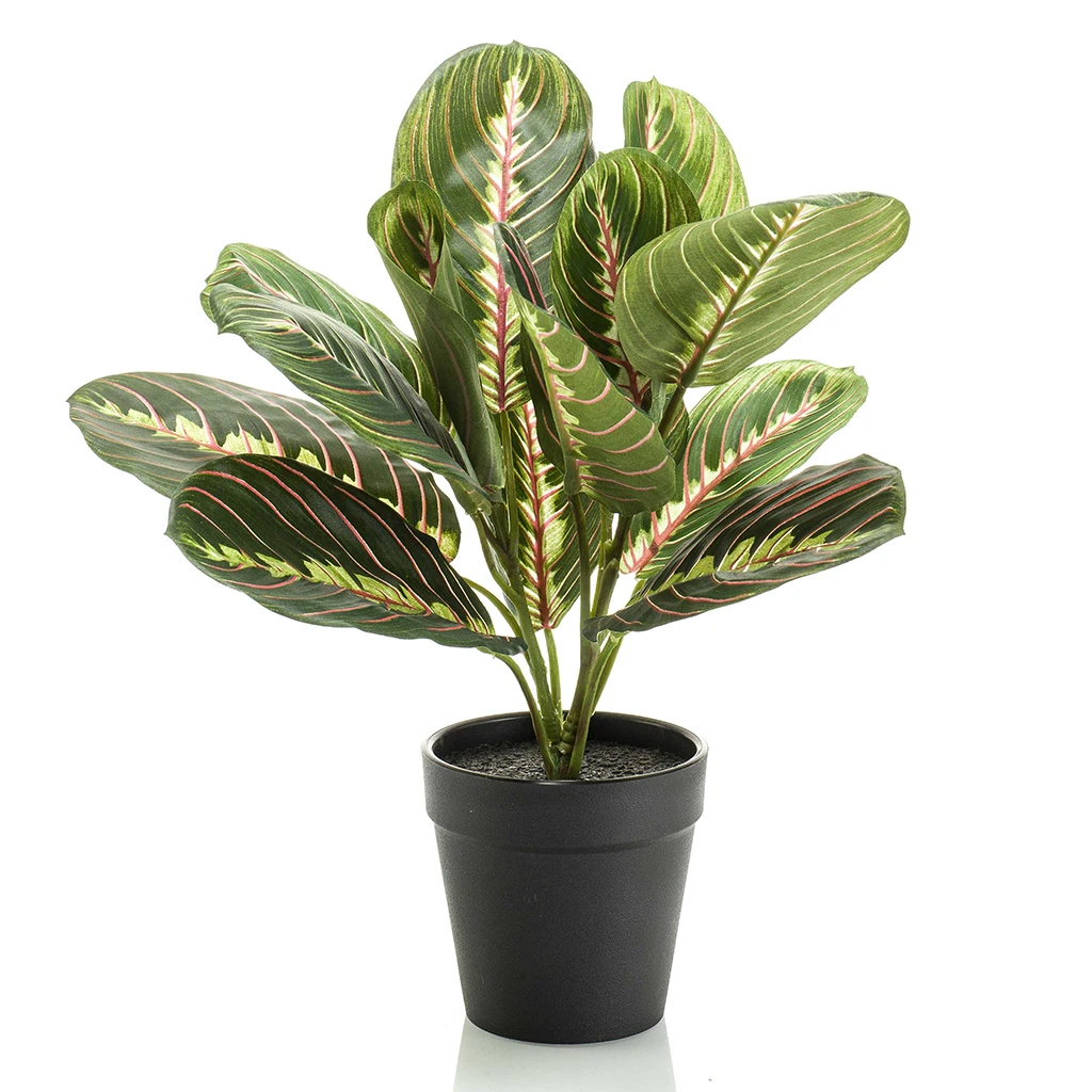 Maranta Bush 30 cm - Kunstplant