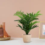 Parlour Palm Kunstplant
