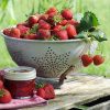 Fragaria aardbeienplant vruchten