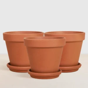 terracotta potten met schotel