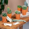 geschenk plant met boodschap